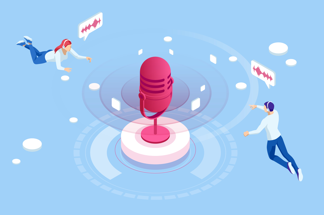 Voice search in e-commerce